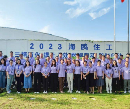 從戰(zhàn)略到執(zhí)行，四維衛(wèi)浴手把手教你如何破局